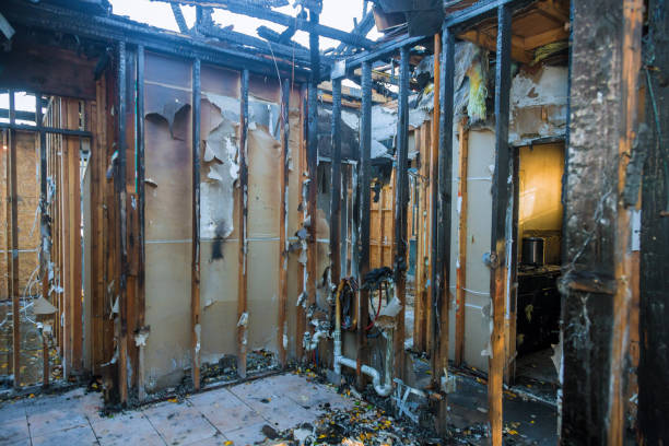 Professional Emergency Fire Cleanup technician working in El Jebel, CO